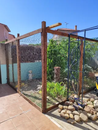 Recinti e gatificazioni per gatti e altri animali