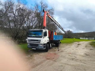 Se vende camión DAF CF 250