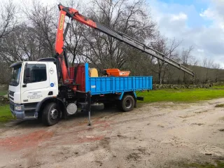 Se vende camión DAF CF 250