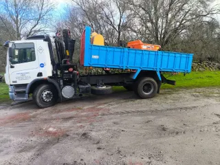 Se vende camión DAF CF 250