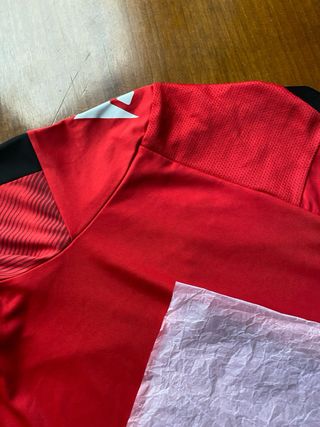 Camiseta Wales Rugby Macron Maglia