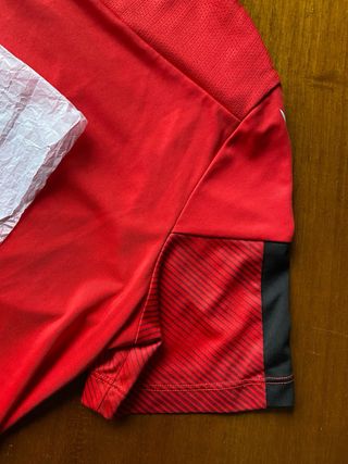 Camiseta Wales Rugby Macron Maglia