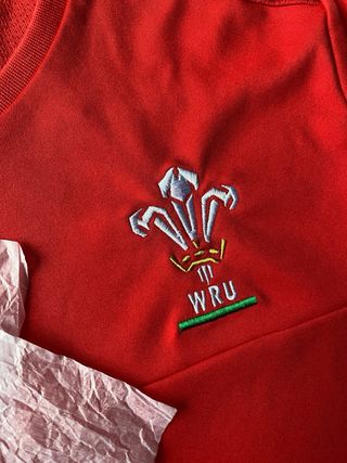 Camiseta Wales Rugby Macron Maglia