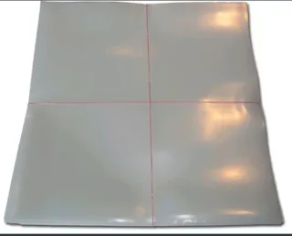 100 Fundas para Vinilos LP Estándar