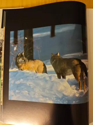 Momentos estelares de la naturaleza española