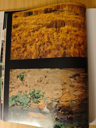 Momentos estelares de la naturaleza española