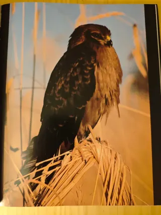 Momentos estelares de la naturaleza española