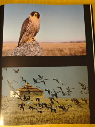 Momentos estelares de la naturaleza española