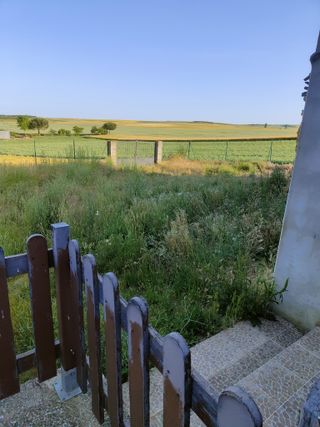 Mujer experiencia, cuida niños, ancianos