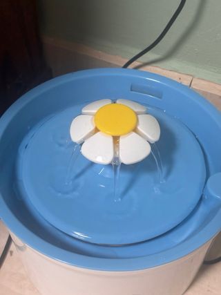 Fuente agua bebedero para mascotas