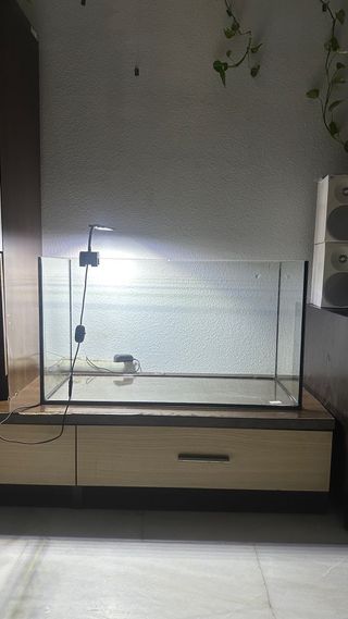 Pecera / Tortuguera Transparente