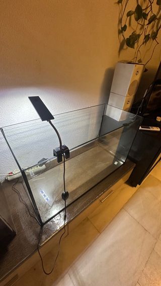 Pecera / Tortuguera Transparente