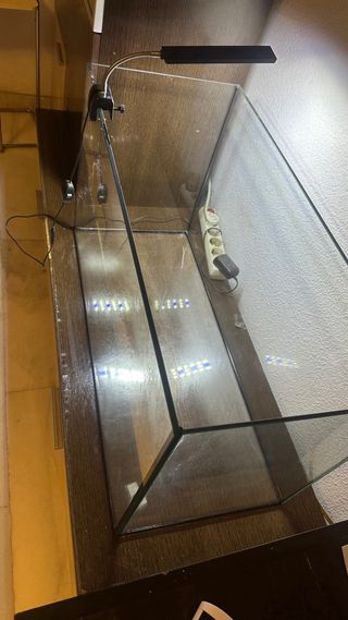 Pecera / Tortuguera Transparente