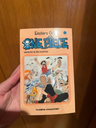 One piece 1