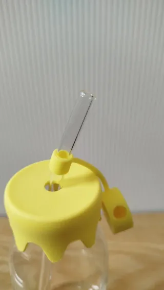 Bottiglia in vetro con cannuccia a limone