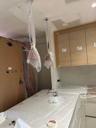 Servicios de Pintura Profesional