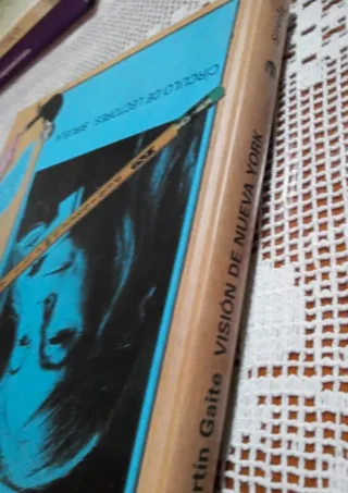 Visión de Nueva York (Libros del Tiempo) (Spani...