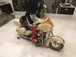 Harley Davidson 1988 feber electra glide