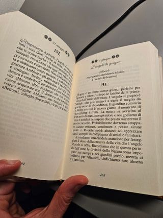 Un angelo è sempre con te. 365 citazioni, medit...