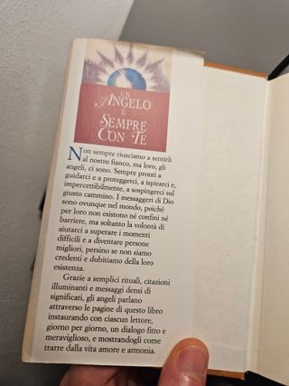 Un angelo è sempre con te. 365 citazioni, medit...
