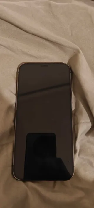 iPhone 12 Pro Max 256GB