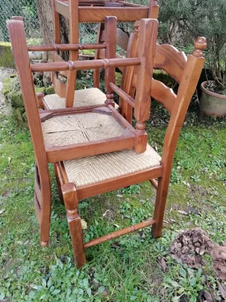 Set 6 sedie in legno robuste ed eleganti