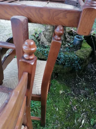 Set 6 sedie in legno robuste ed eleganti