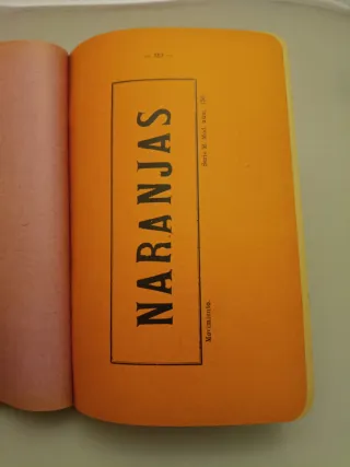 Instrucción General Servicio Trenes