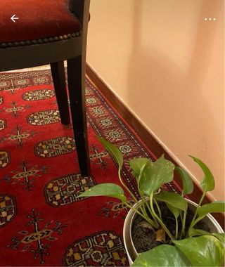 Tappeto persiano lana rosso