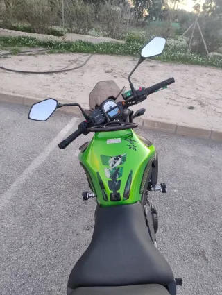Kawasaki ER-6N Naked Verde/Negra