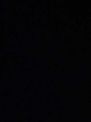 Servicio para pasear perros