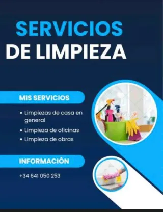 Busco trabajo de limpieza y organizacion hogar