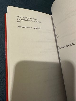 El último padre poema-novela