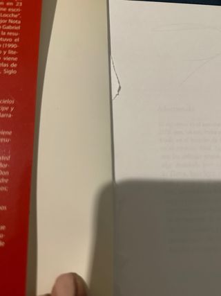 El último padre poema-novela