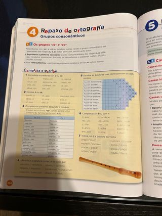 Lingua Galega e Literatura 4.