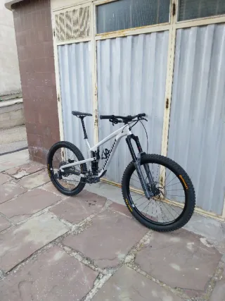 Propain Spindrift AL4 MX