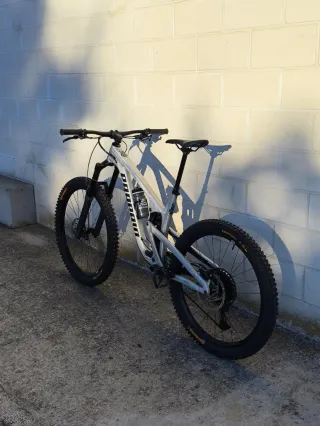 Propain Spindrift AL4 MX