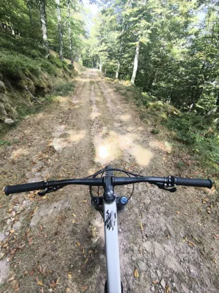 Propain Spindrift AL4 MX