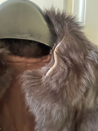 Chaleco de pelo marrón