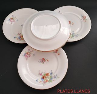 6 Platos de Porcelana con Flores