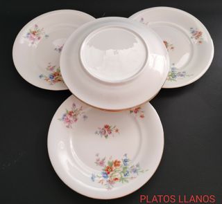 6 Platos de Porcelana con Flores