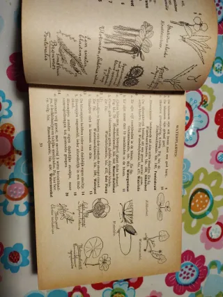 Libro de flores en holandes