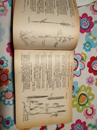 Libro de flores en holandes