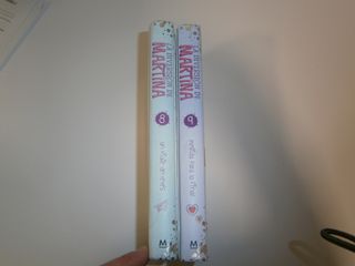 Un viaje del revés (La diversión de Martina 8)