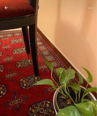 Sedia antica legno velluto rosso nero