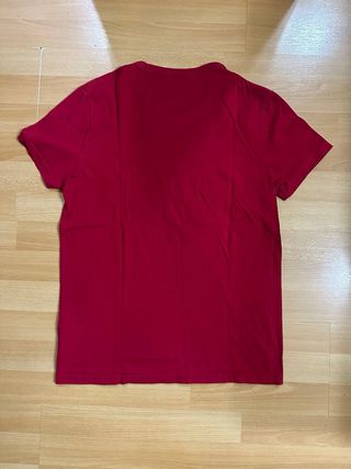 Camiseta Hollister Roja Logo Pájaro