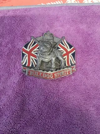 3 Hebillas estilo bulldog dorado