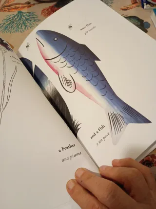 ABC. Semplice lezione d'inglese. Ediz. multilingue