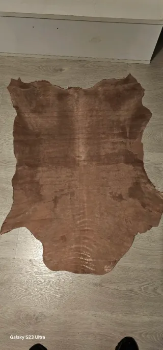 Lote 12 Pieles Cordero