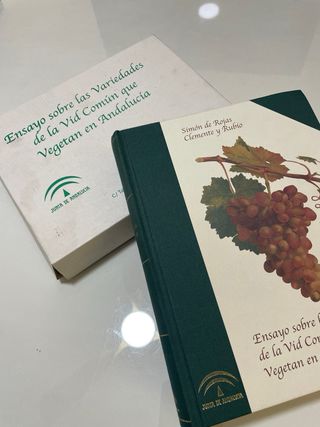 Ensayo sobre las Variedades de Vid en Andalucia
